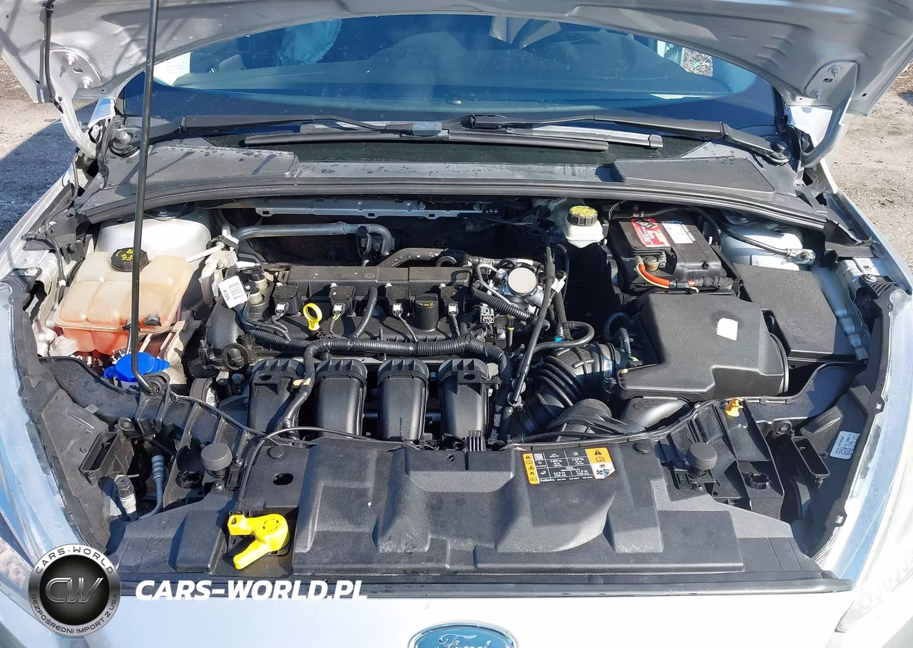 2017 Ford Focus Se VIN:1FADP3K21HL302023 - 10