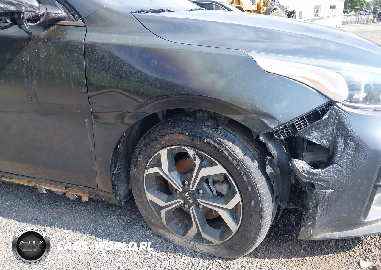 2021 Kia Forte Lxs VIN:3KPF24AD7ME271180 - 17