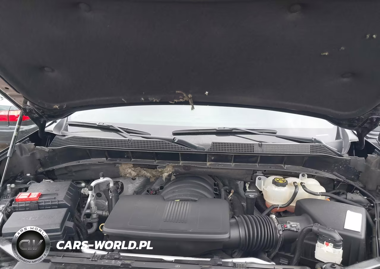 2020 Chevrolet Silverado 1500 4Wd Short Bed Lt Trail Boss VIN:1GCPYFED0LZ359984 - 10