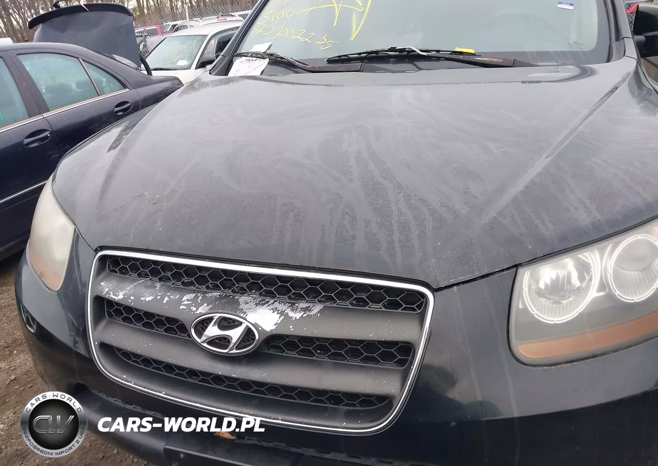 2007 Hyundai Santa Fe Gls VIN:KM8SG73D47U100290 - 10