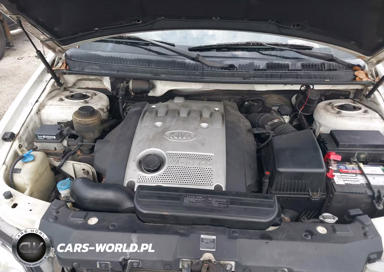 2005 Kia Sedona Ex-Lx VIN:KNDUP132956679092 - 10