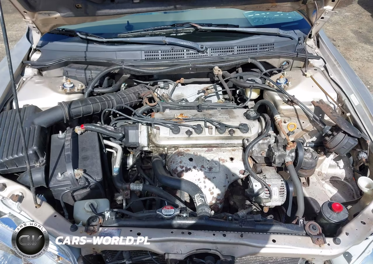 1998 Honda Accord Lx VIN:1HGCG5640WA258278 - 10