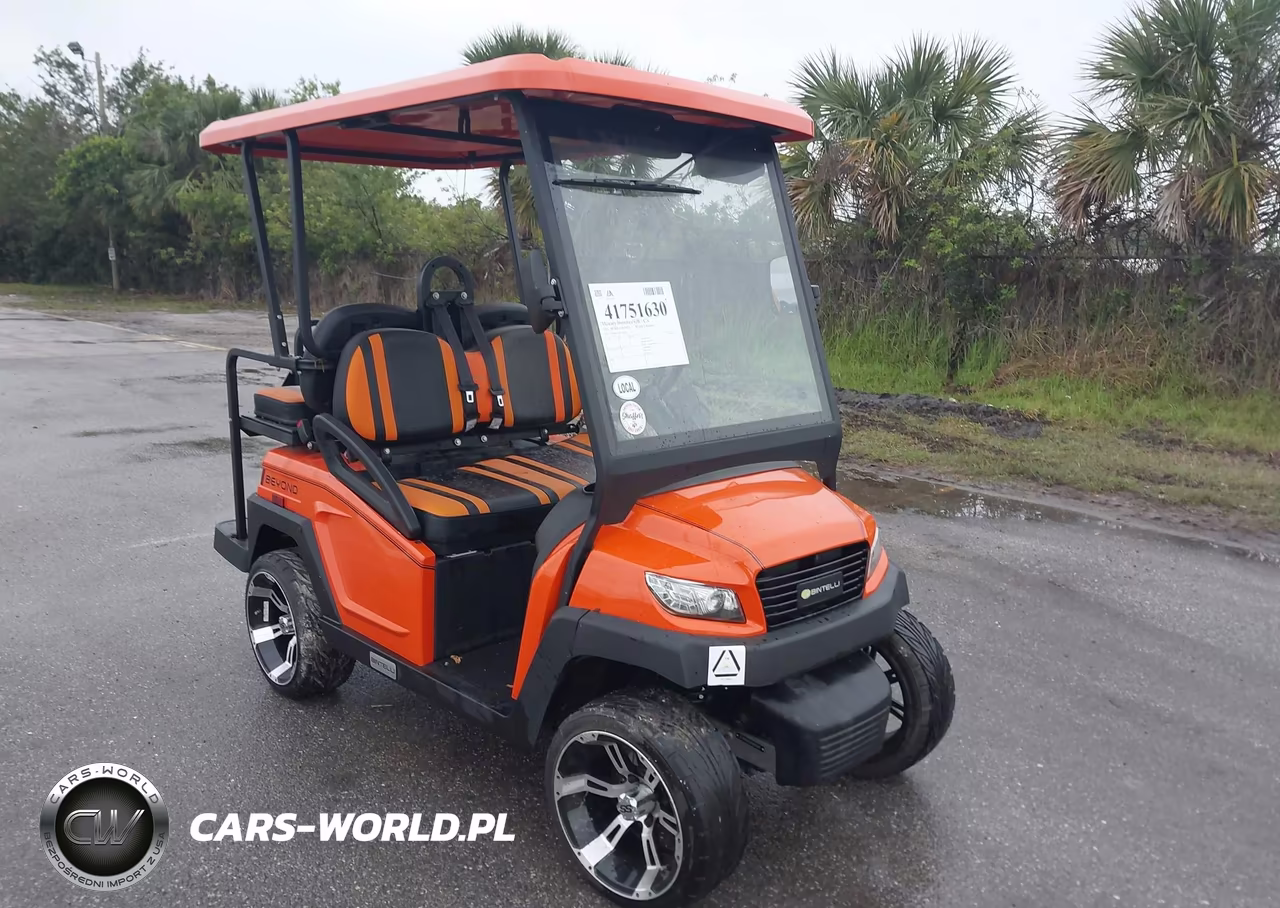 2021 Citc Golf Cart