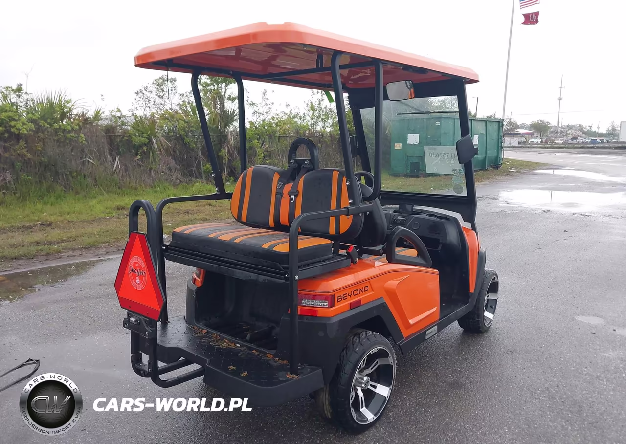 2021 Citc Golf Cart VIN:1G9BA4211MC411565 - 4