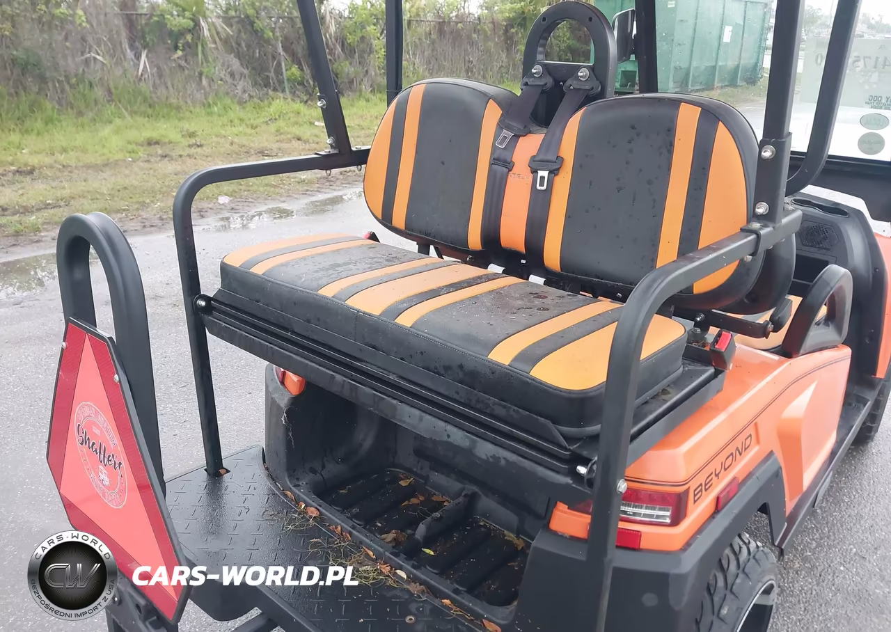 2021 Citc Golf Cart VIN:1G9BA4211MC411565 - 8