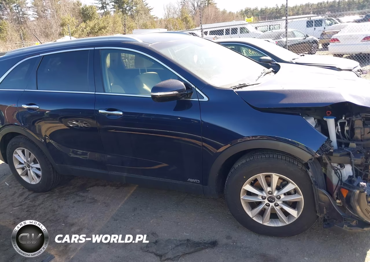 2020 Kia Sorento 2.4L Lx VIN:5XYPGDA34LG647333 - 13