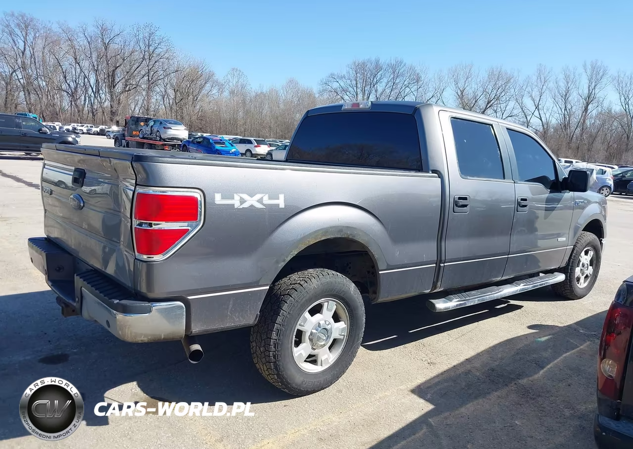 2013 Ford F-150 Xlt VIN:1FTFW1ET8DFB54895 - 14