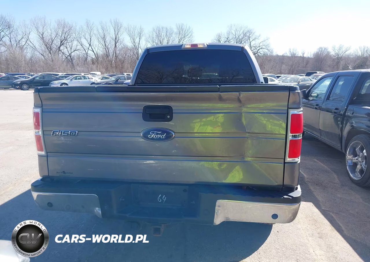 2013 Ford F-150 Xlt VIN:1FTFW1ET8DFB54895 - 17