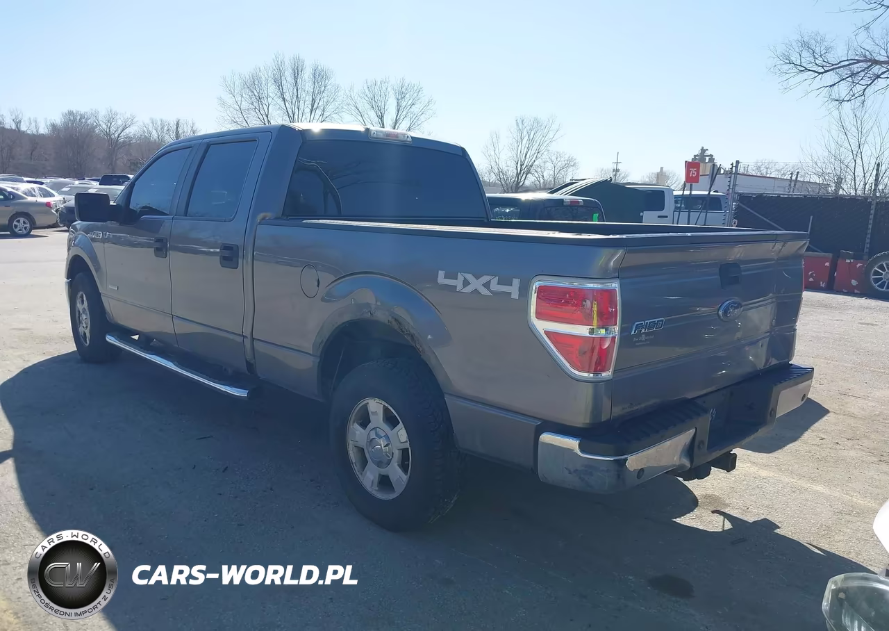 2013 Ford F-150 Xlt VIN:1FTFW1ET8DFB54895 - 3