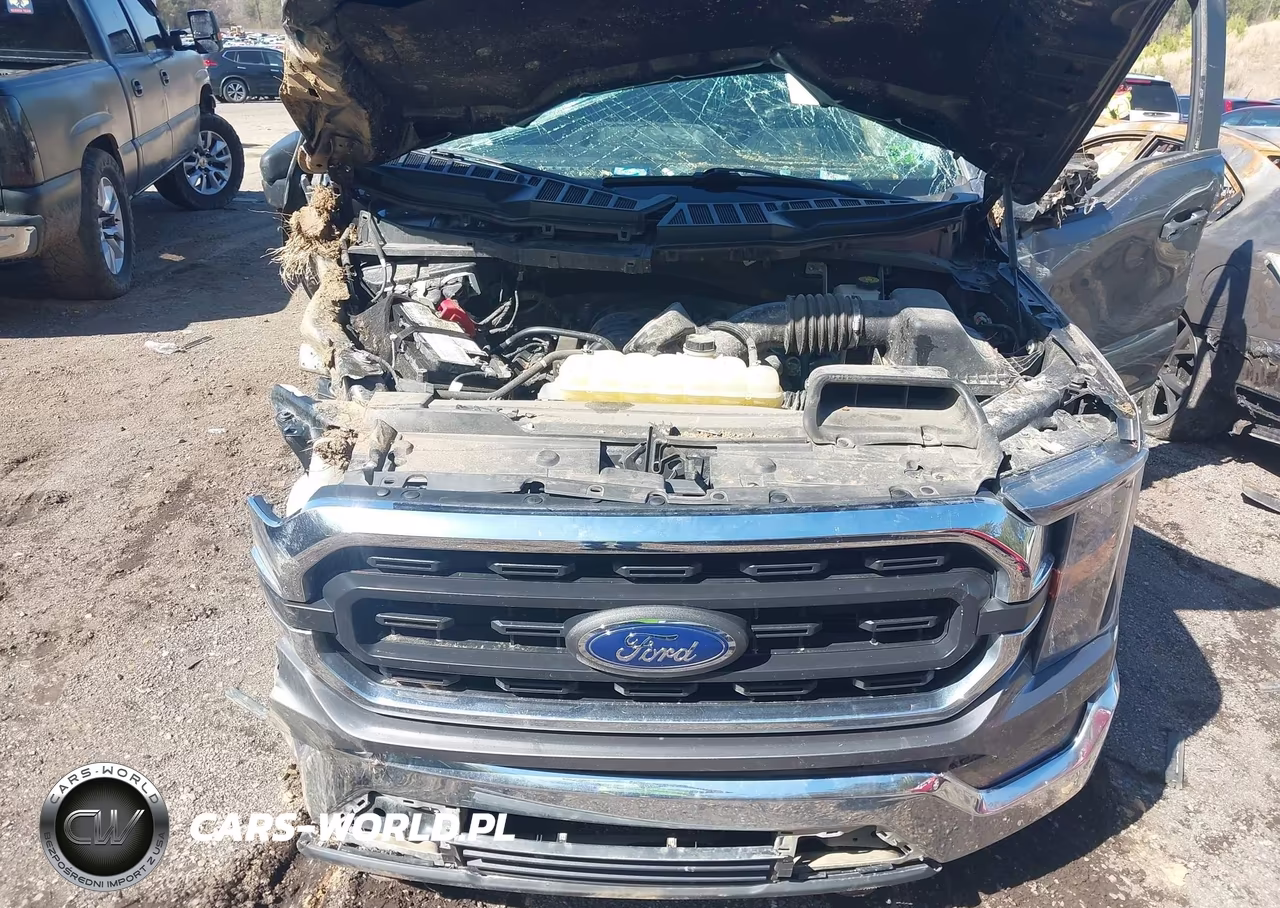 2023 Ford F-150 Xlt VIN:1FTFW1E58PFA34813 - 10