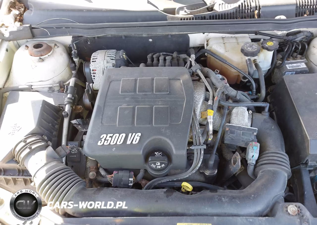 2006 Chevrolet Malibu Maxx Lt VIN:1G1ZT63856F249007 - 10