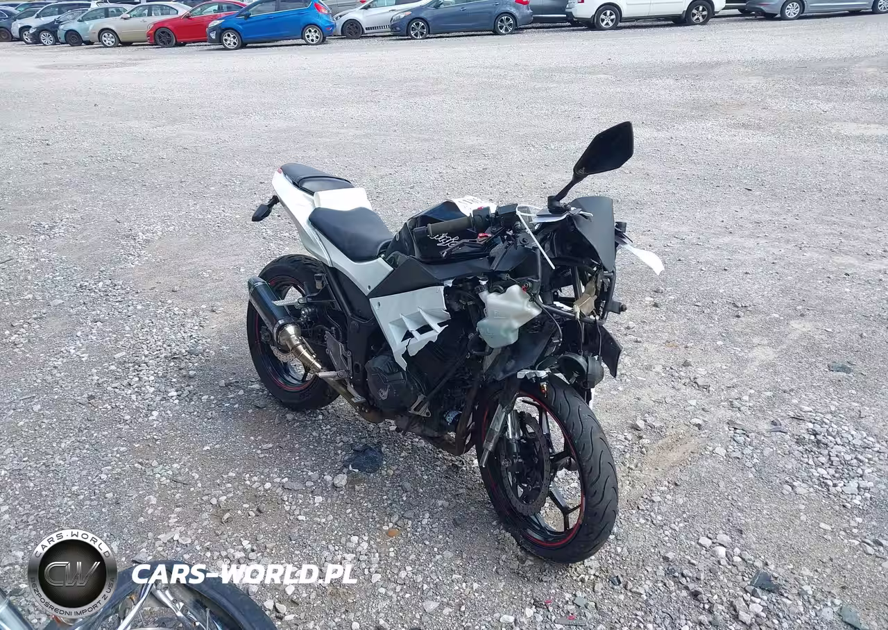 2014 Kawasaki Ex300 A