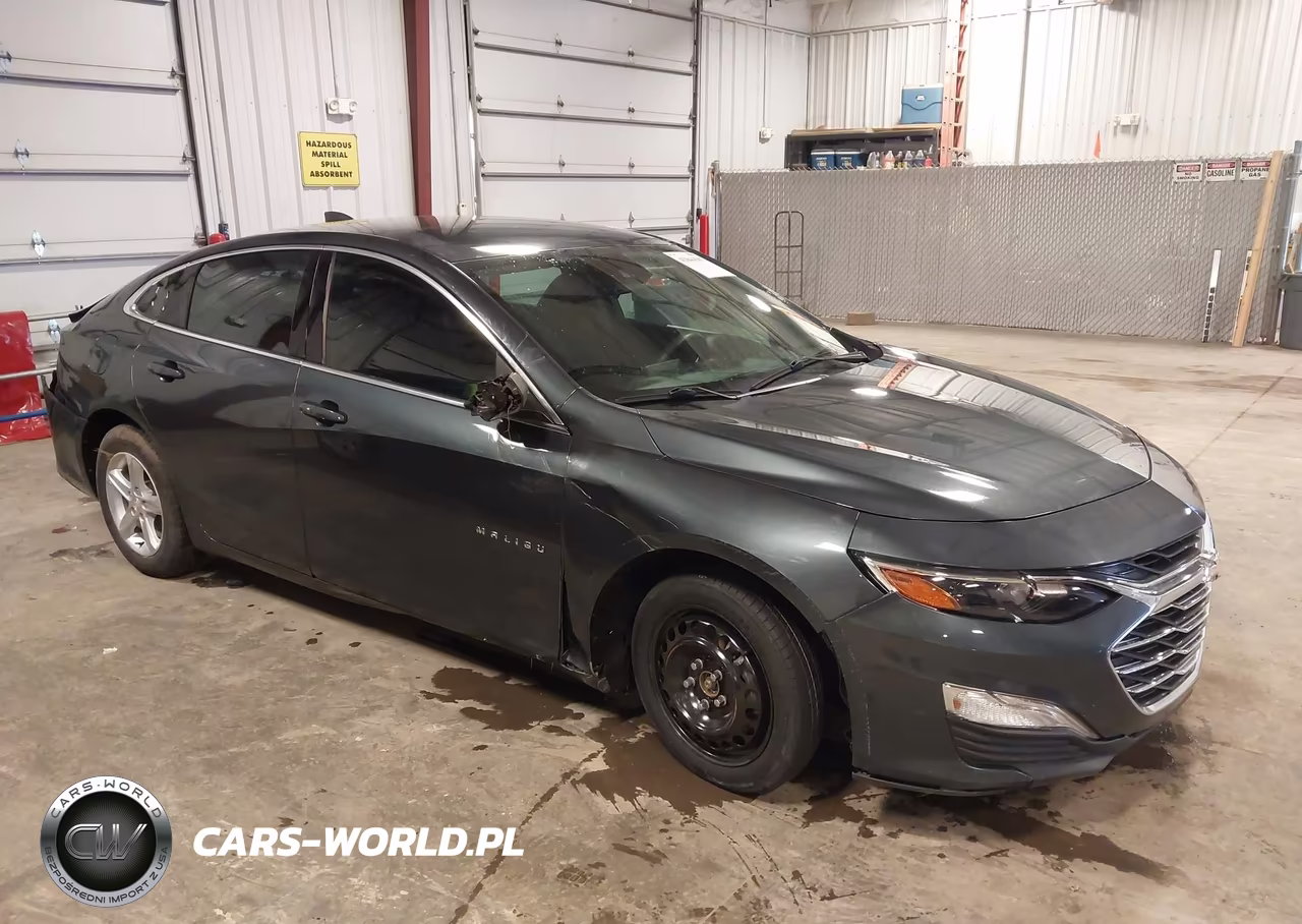 2019 Chevrolet Malibu 1Fl