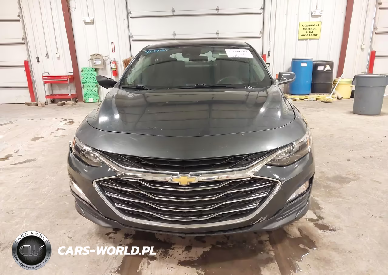 2019 Chevrolet Malibu 1Fl VIN:1G1ZC5ST7KF140235 - 12