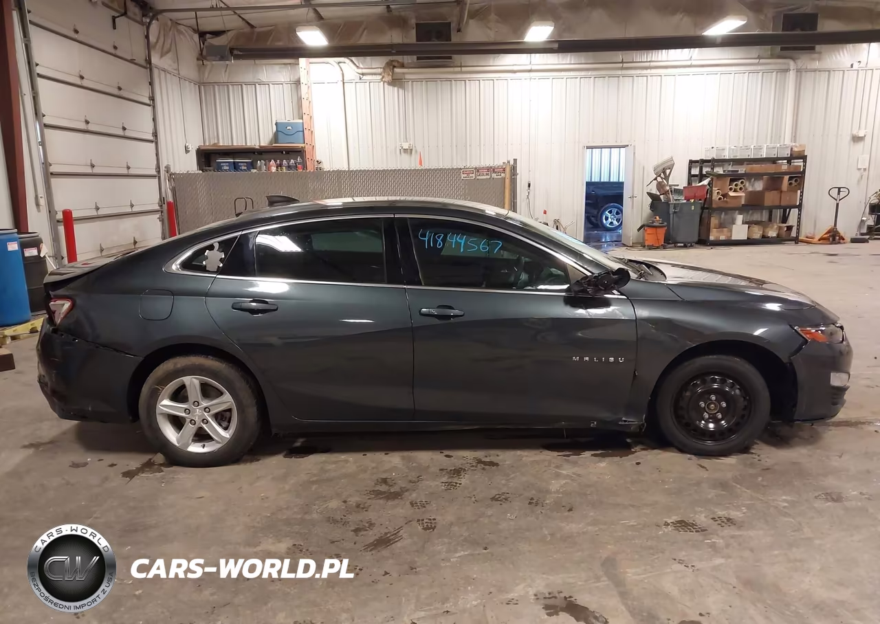 2019 Chevrolet Malibu 1Fl VIN:1G1ZC5ST7KF140235 - 13