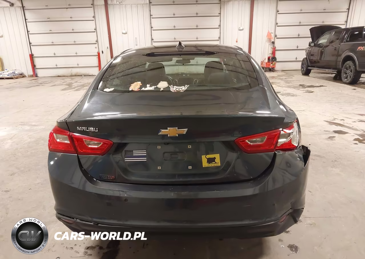 2019 Chevrolet Malibu 1Fl VIN:1G1ZC5ST7KF140235 - 16