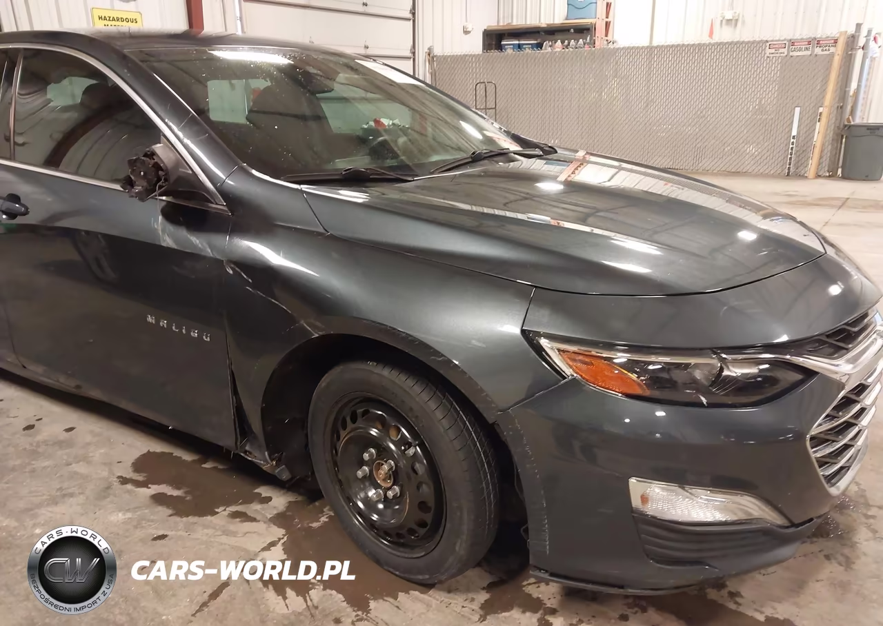 2019 Chevrolet Malibu 1Fl VIN:1G1ZC5ST7KF140235 - 17
