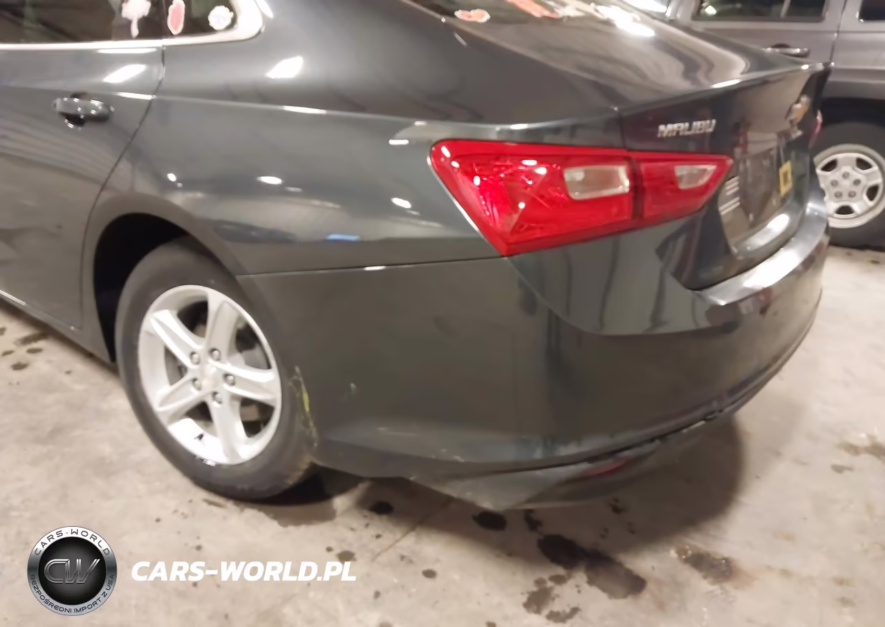 2019 Chevrolet Malibu 1Fl VIN:1G1ZC5ST7KF140235 - 18