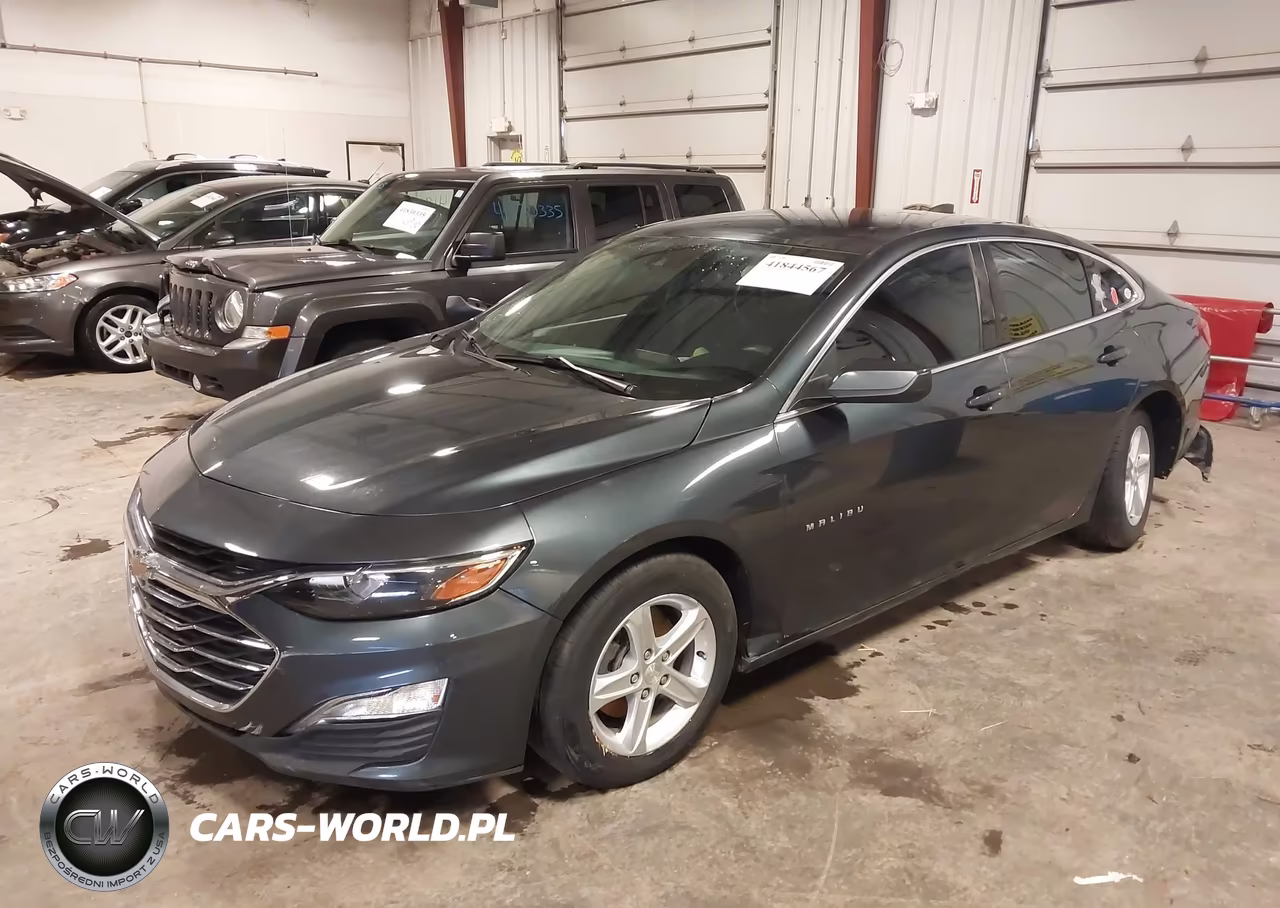 2019 Chevrolet Malibu 1Fl VIN:1G1ZC5ST7KF140235 - 2