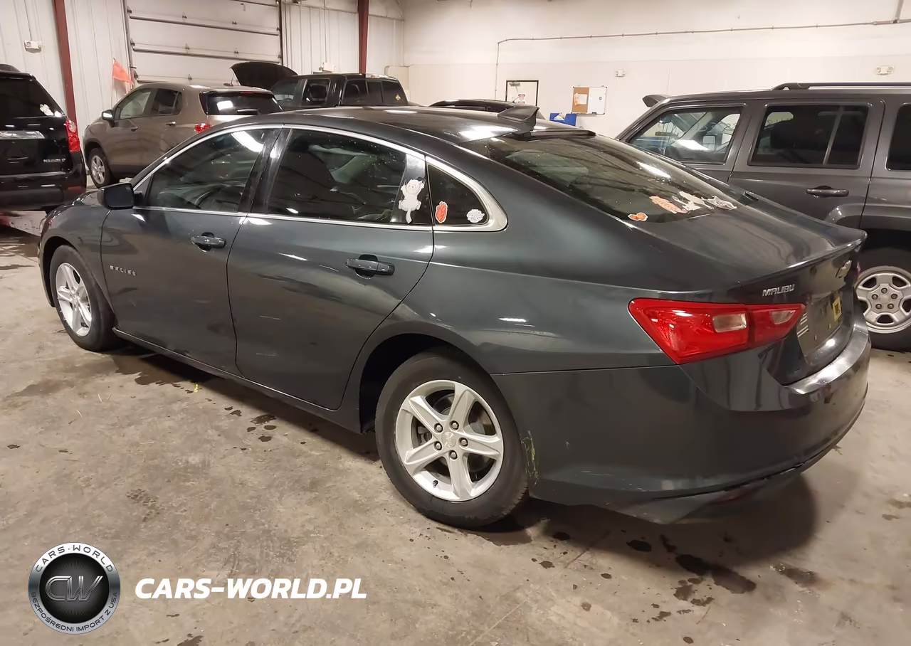 2019 Chevrolet Malibu 1Fl VIN:1G1ZC5ST7KF140235 - 3