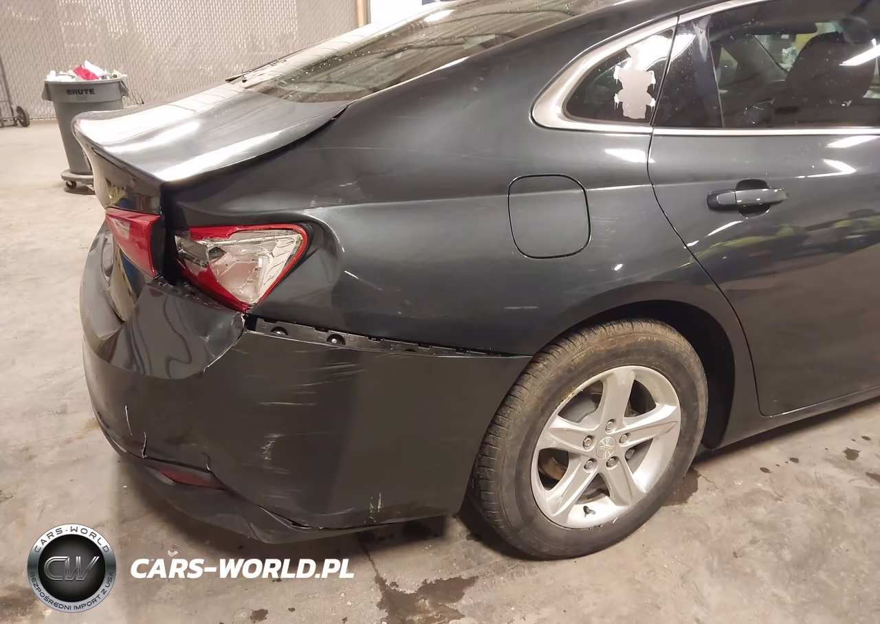 2019 Chevrolet Malibu 1Fl VIN:1G1ZC5ST7KF140235 - 6