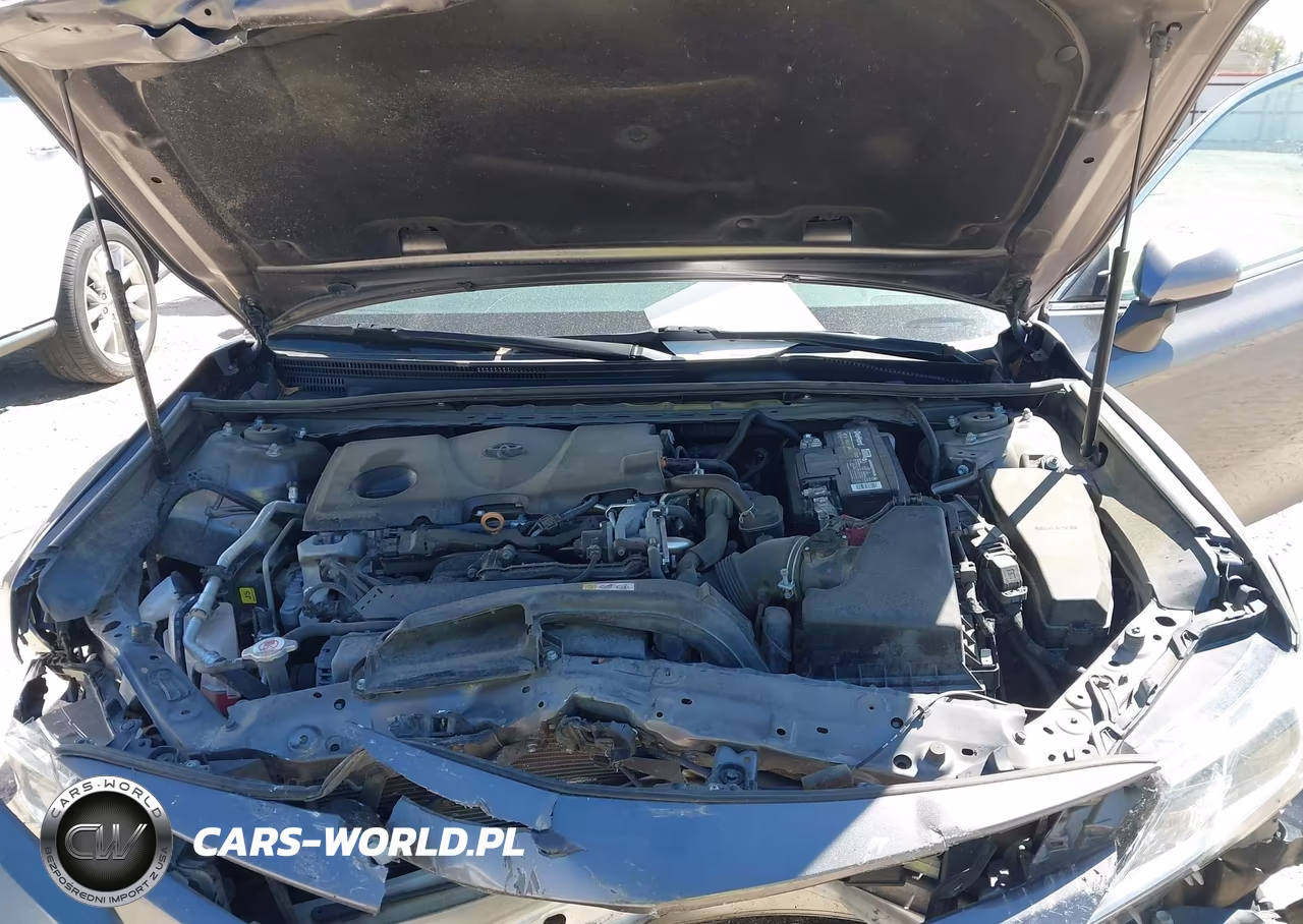 2020 Toyota Camry Le VIN:4T1C11AK5LU867161 - 10