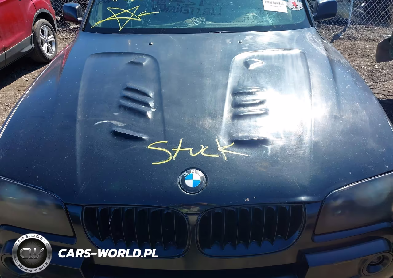 2004 BMW X3 3.0I VIN:WBXPA93414WA64054 - 10