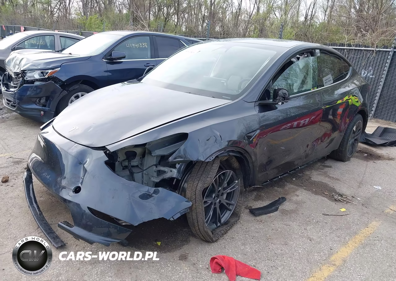 2025 Tesla Model Y Long Range Dual Motor All-Wheel Drive VIN:7SAYGDEE7SF287094 - 2