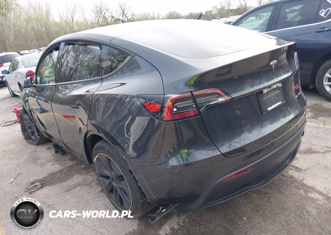 2025 Tesla Model Y Long Range Dual Motor All-Wheel Drive VIN:7SAYGDEE7SF287094 - 3