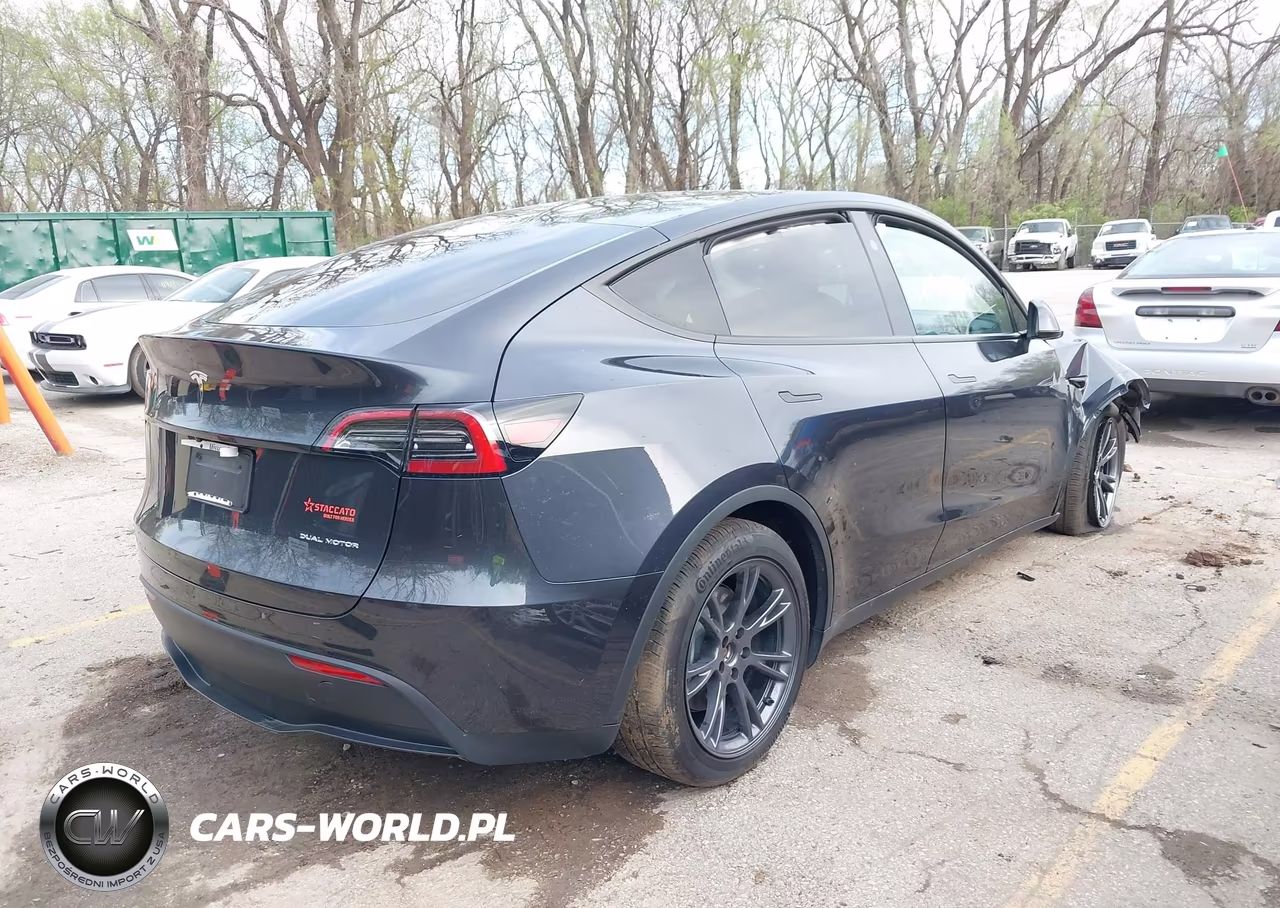 2025 Tesla Model Y Long Range Dual Motor All-Wheel Drive VIN:7SAYGDEE7SF287094 - 4