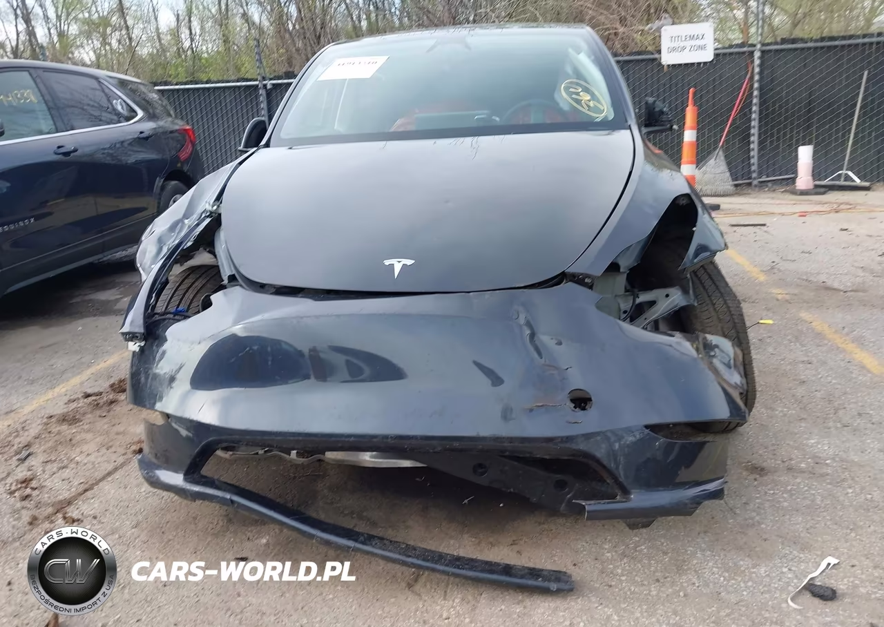 2025 Tesla Model Y Long Range Dual Motor All-Wheel Drive VIN:7SAYGDEE7SF287094 - 6
