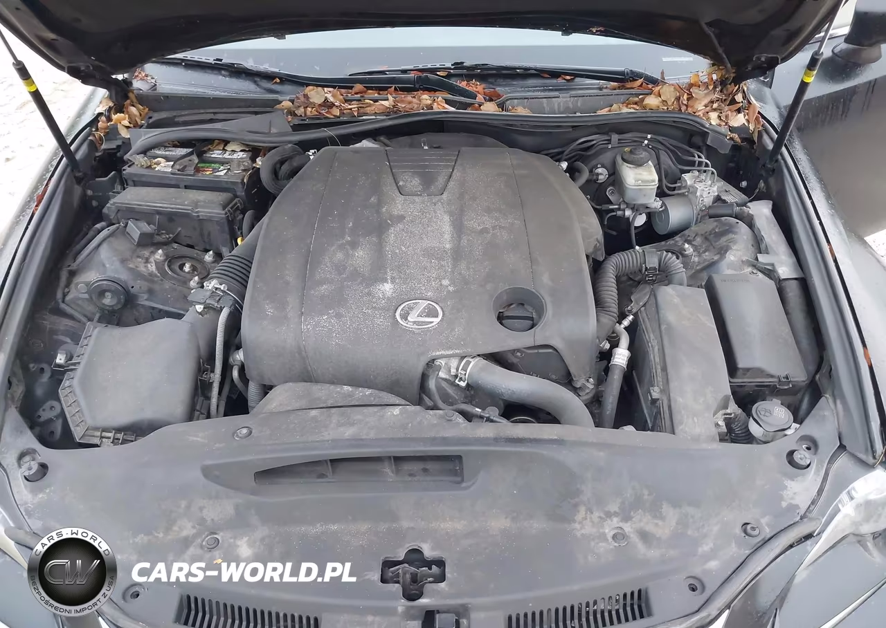 2014 Lexus Is 250 VIN:JTHCF1D24E5014540 - 10