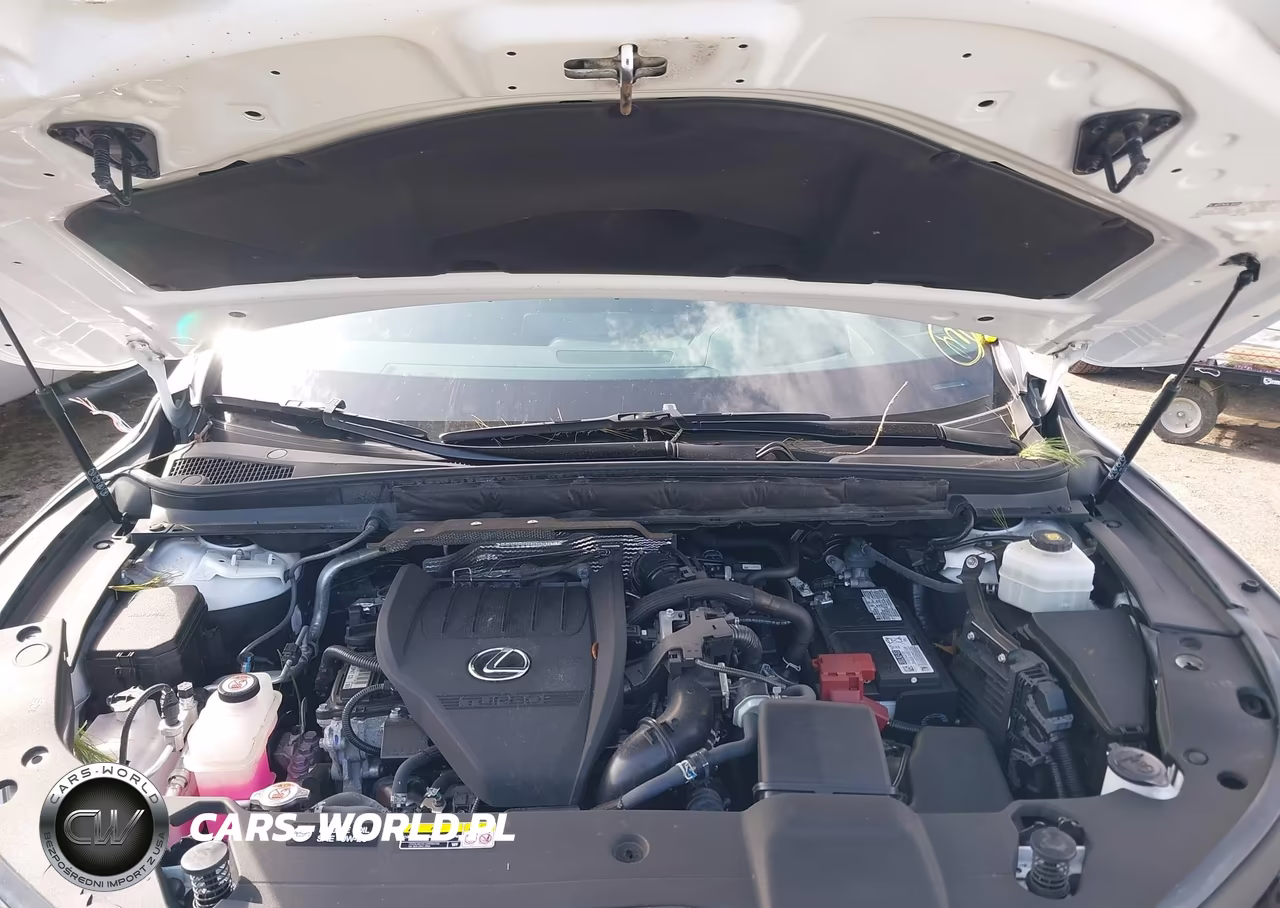 2023 Lexus Rx 350 F Sport Handling VIN:2T2BAMCAXPC017921 - 10