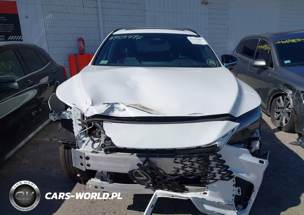 2023 Lexus Rx 350 F Sport Handling VIN:2T2BAMCAXPC017921 - 13