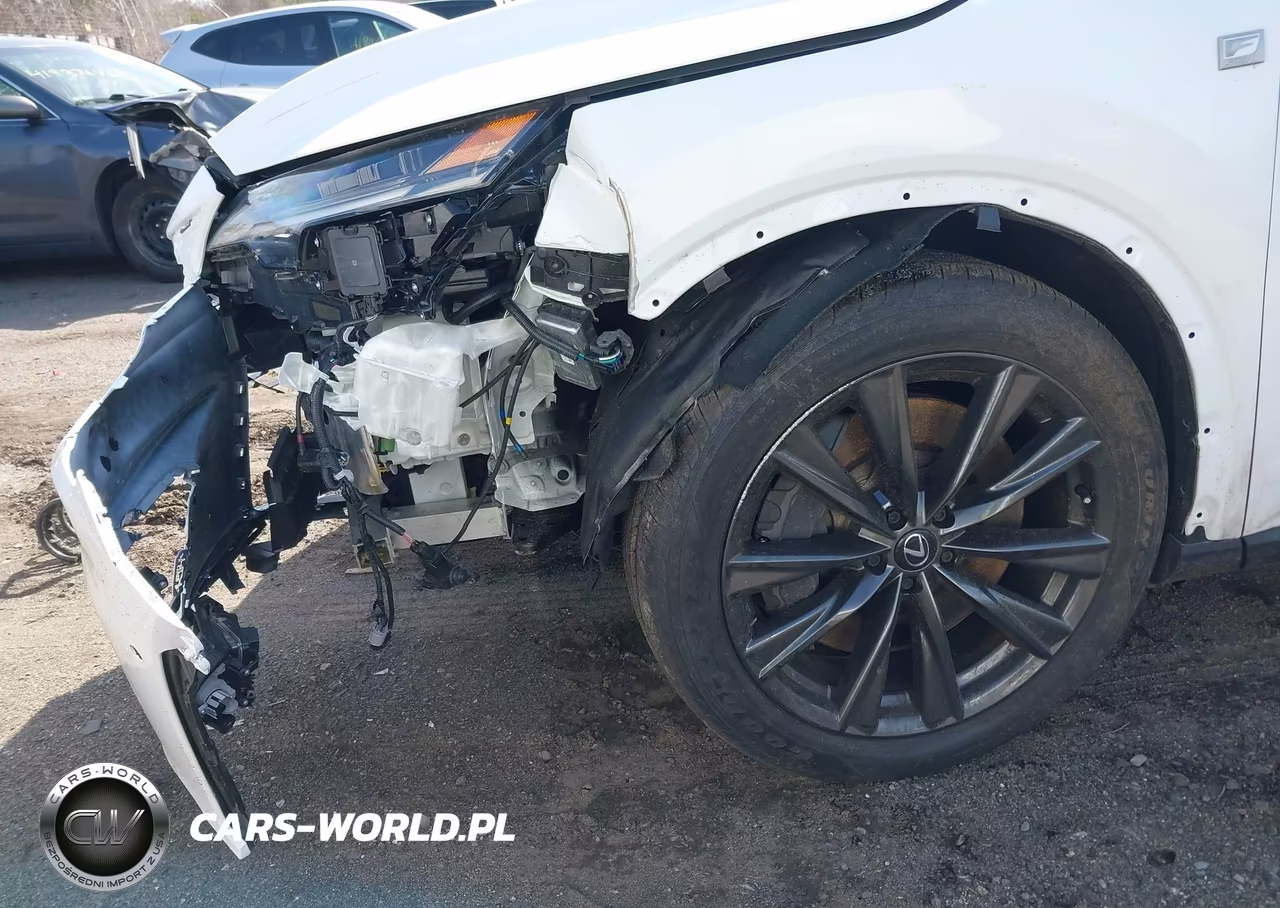 2023 Lexus Rx 350 F Sport Handling VIN:2T2BAMCAXPC017921 - 18