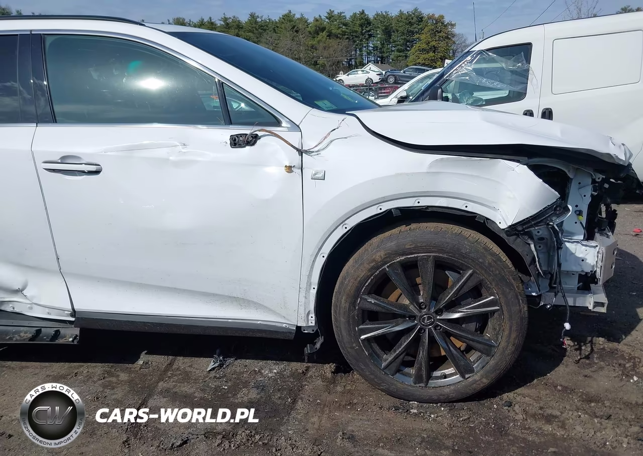 2023 Lexus Rx 350 F Sport Handling VIN:2T2BAMCAXPC017921 - 19