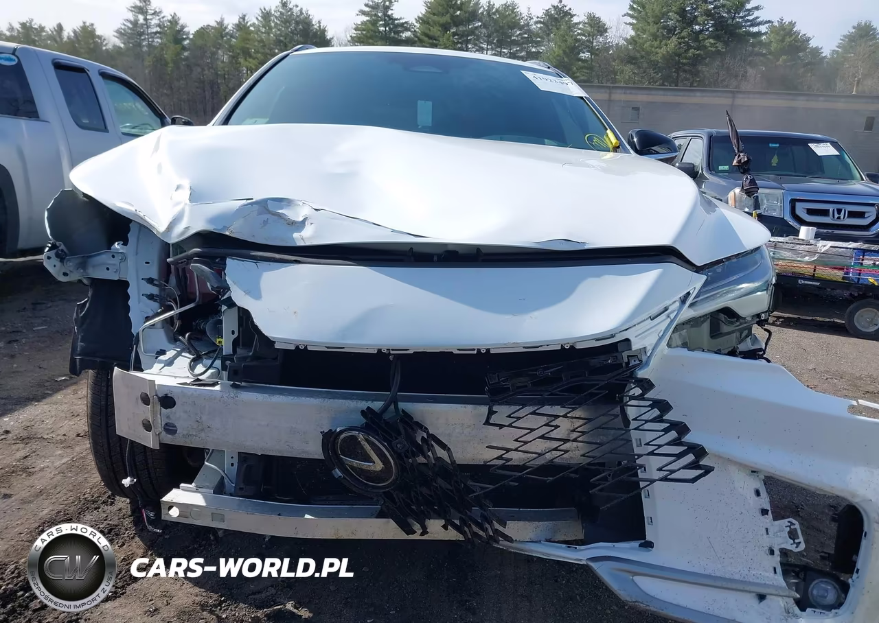 2023 Lexus Rx 350 F Sport Handling VIN:2T2BAMCAXPC017921 - 6