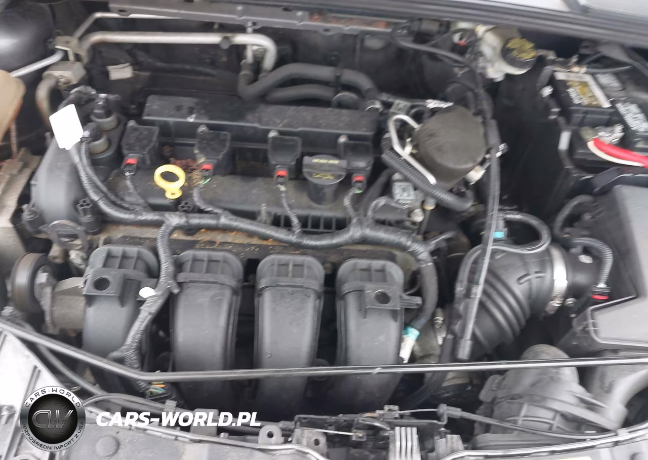 2014 Ford Focus Se VIN:1FADP3F26EL221380 - 10