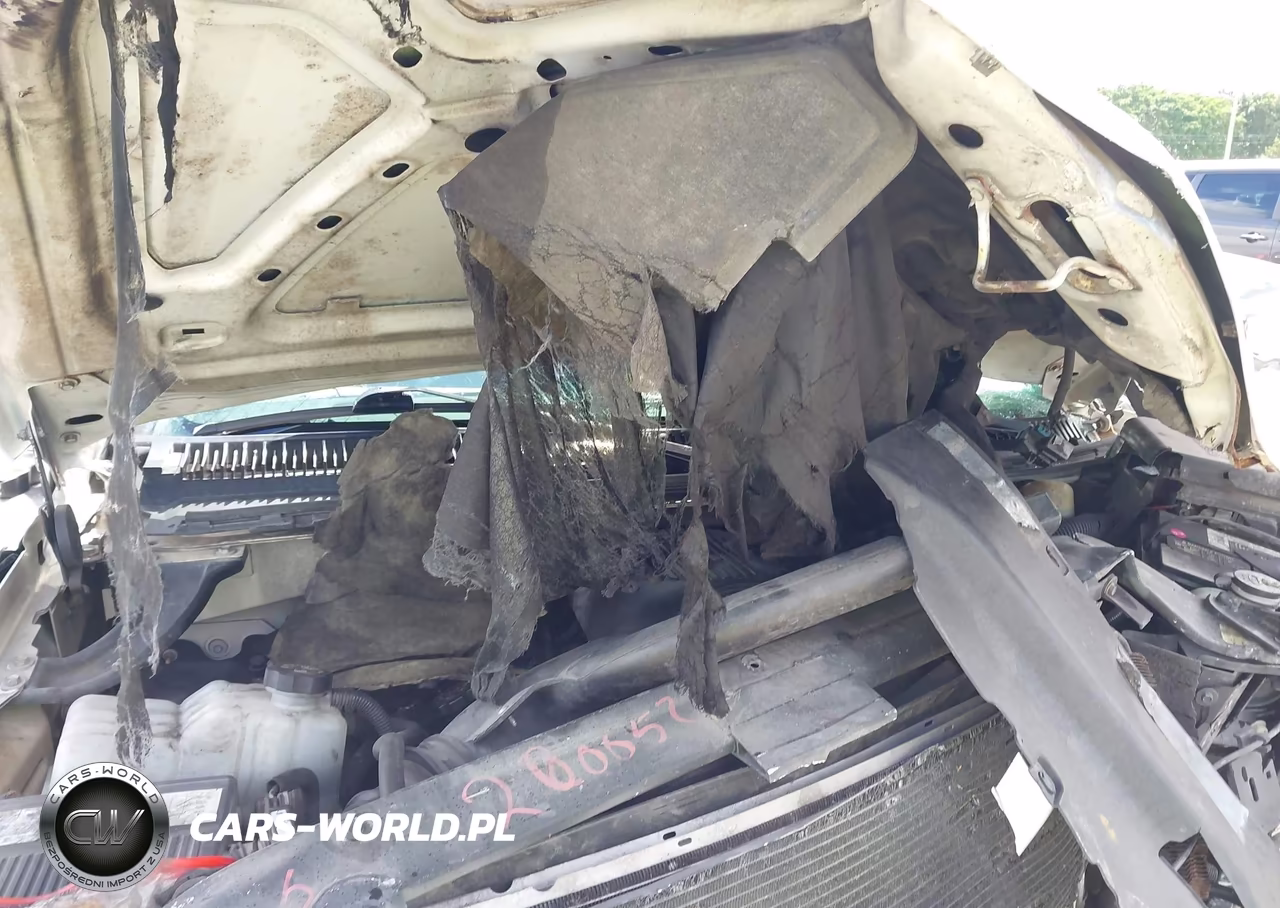 2002 Cadillac Escalade Standard VIN:1GYEC63T42R183580 - 10
