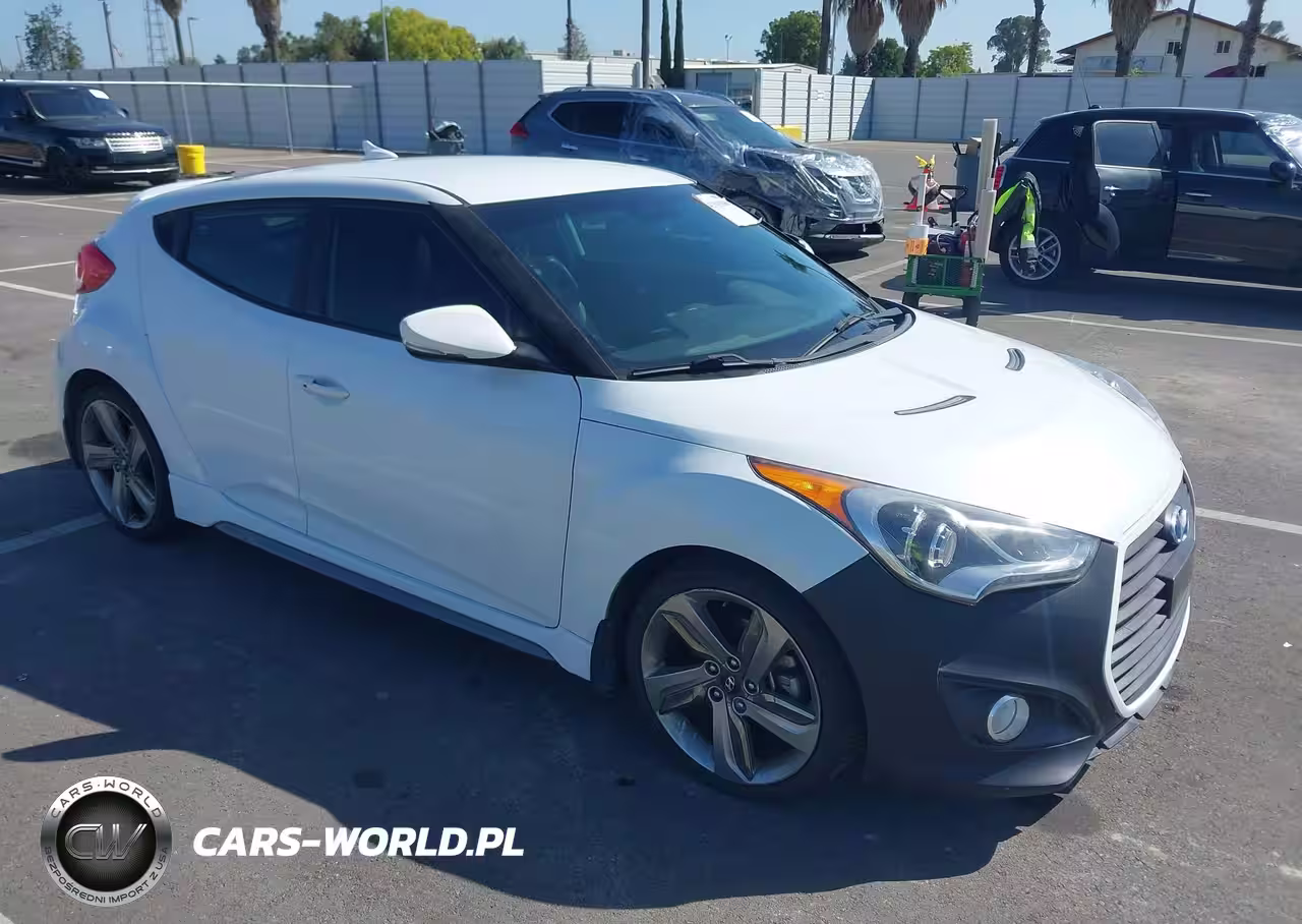 2013 Hyundai Veloster Turbo W-Black
