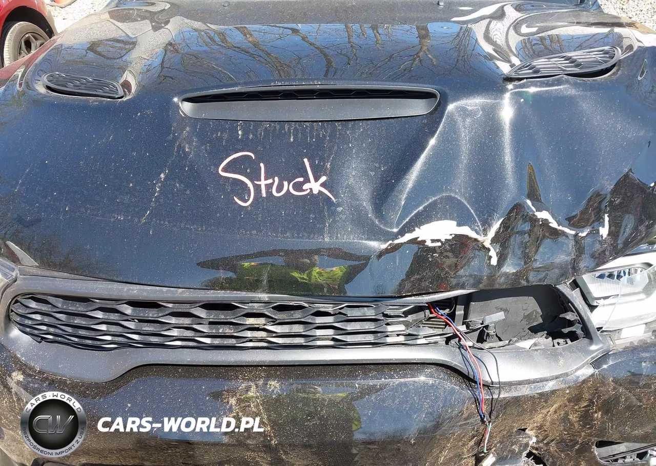 DODGE DURANGO VIN:1C4SDJH91PC687665 - 10
