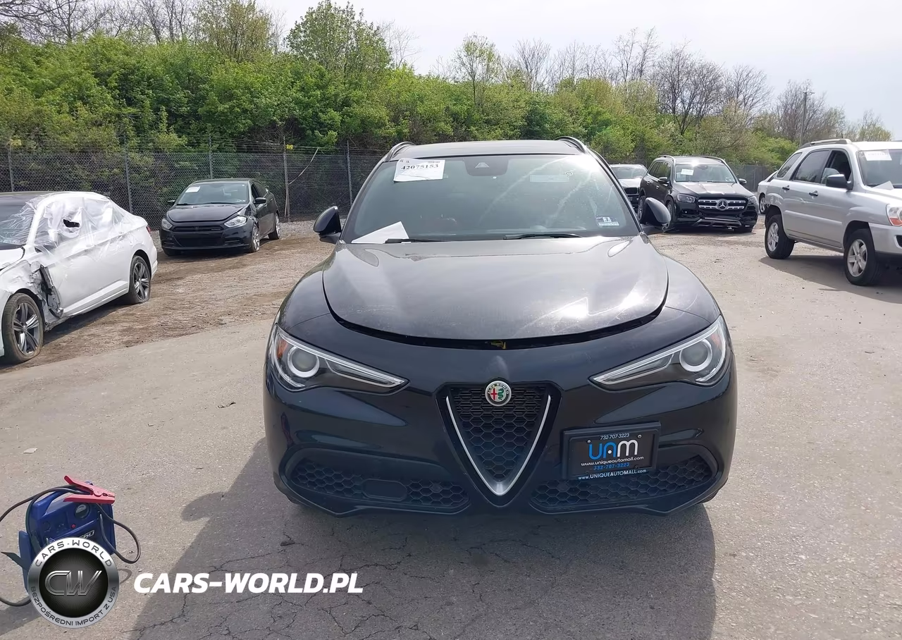 2019 Alfa Romeo Stelvio Ti Sport Awd VIN:ZASPAKBN0K7C71772 - 13