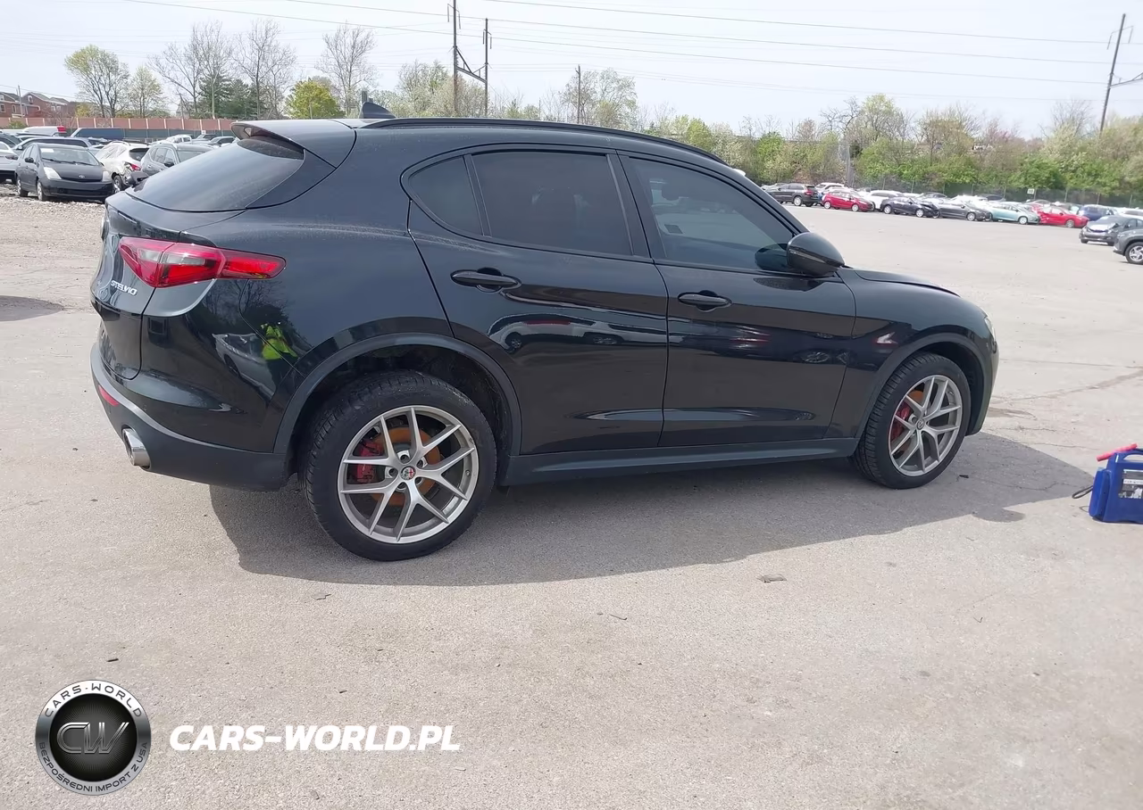 2019 Alfa Romeo Stelvio Ti Sport Awd VIN:ZASPAKBN0K7C71772 - 4