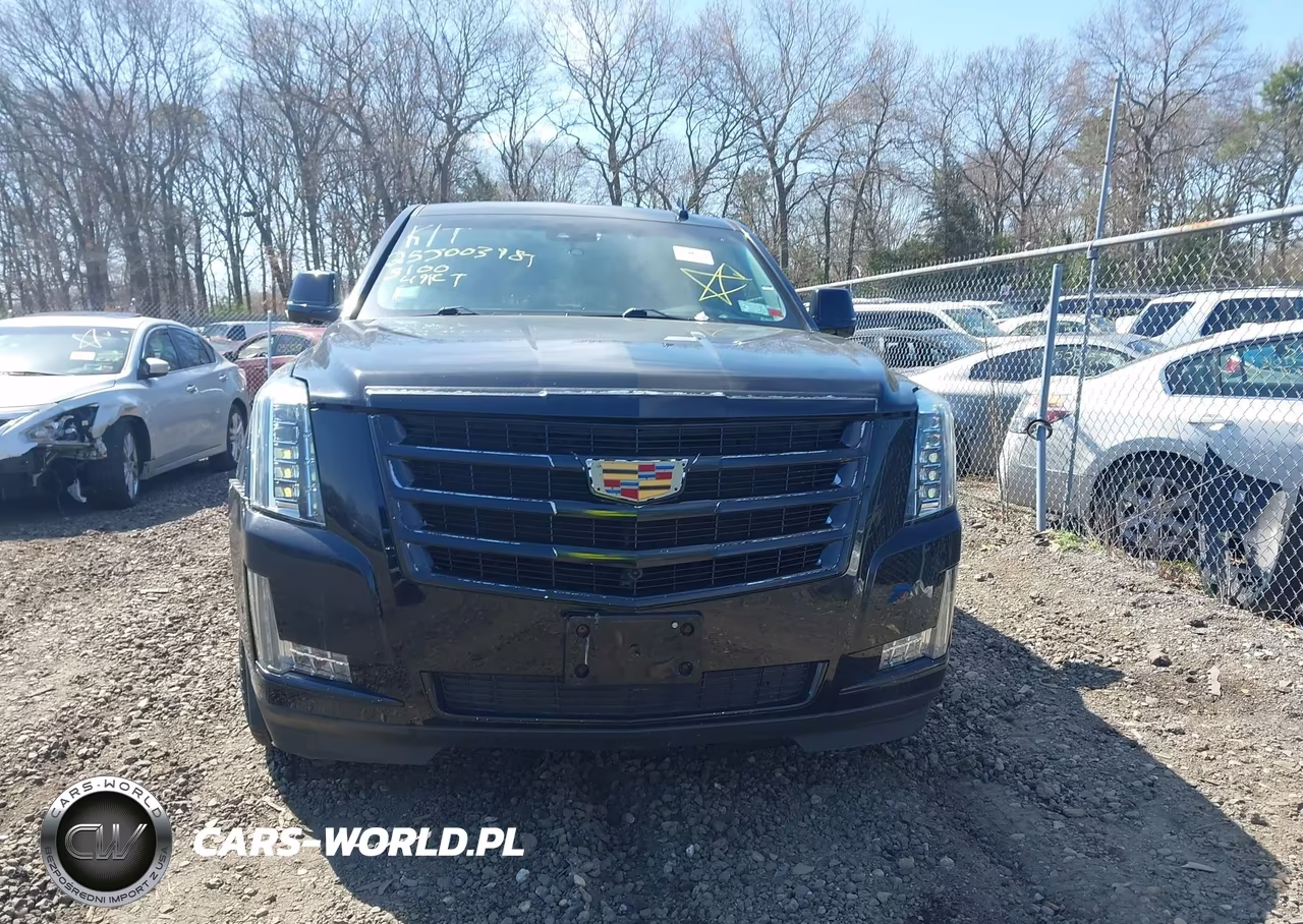 2017 Cadillac Escalade Esv Luxury VIN:1GYS4HKJ8HR131938 - 11