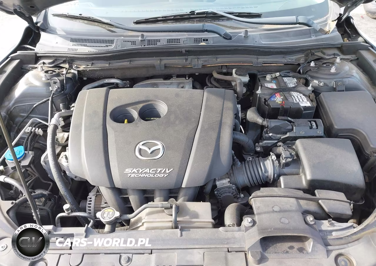 2014 Mazda Mazda3 I Sport VIN:JM1BM1U75E1181320 - 10
