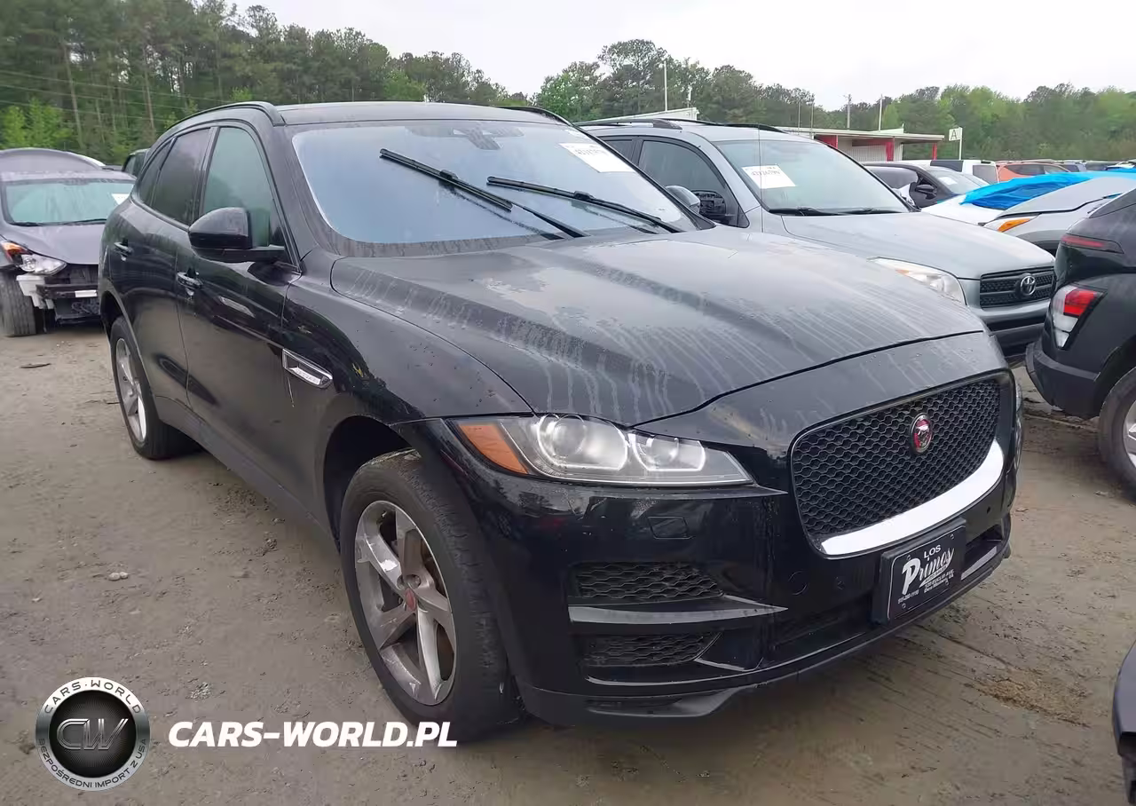 JAGUAR