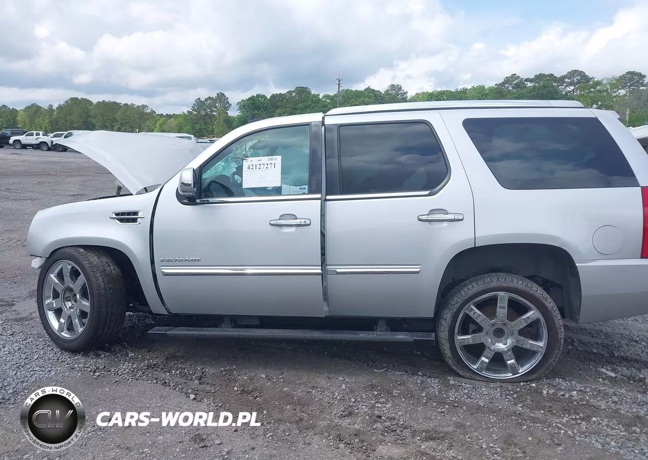 2010 Cadillac Escalade Premium VIN:1GYUKCEF8AR168373 - 15