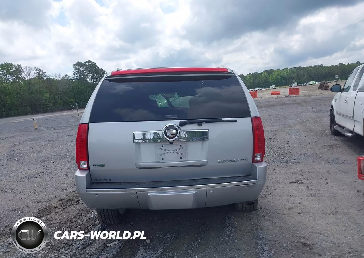 2010 Cadillac Escalade Premium VIN:1GYUKCEF8AR168373 - 17