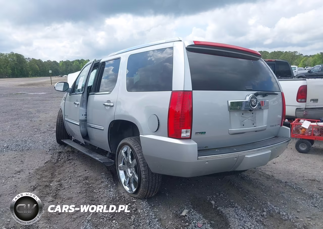 2010 Cadillac Escalade Premium VIN:1GYUKCEF8AR168373 - 3