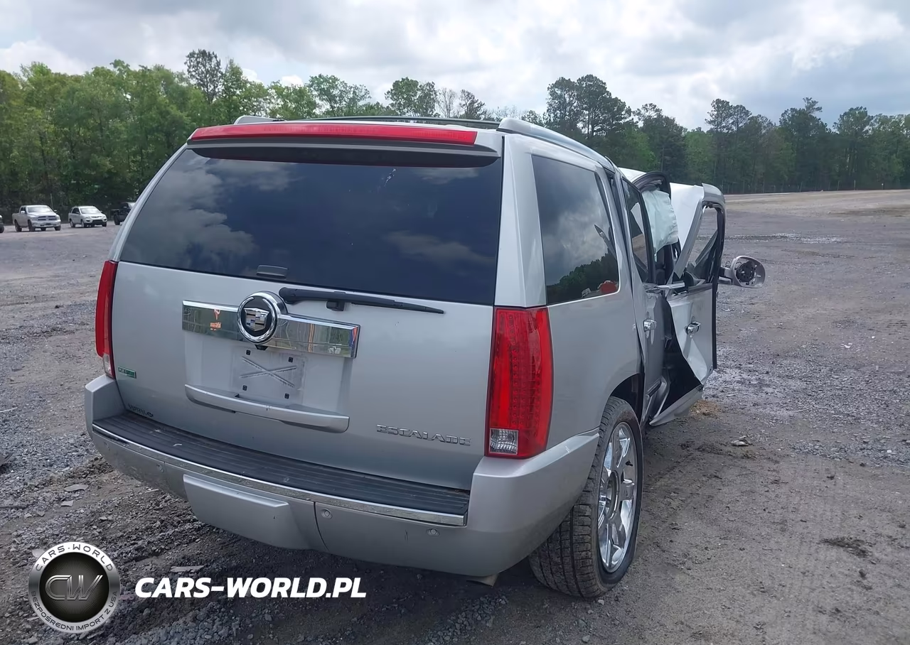 2010 Cadillac Escalade Premium VIN:1GYUKCEF8AR168373 - 4